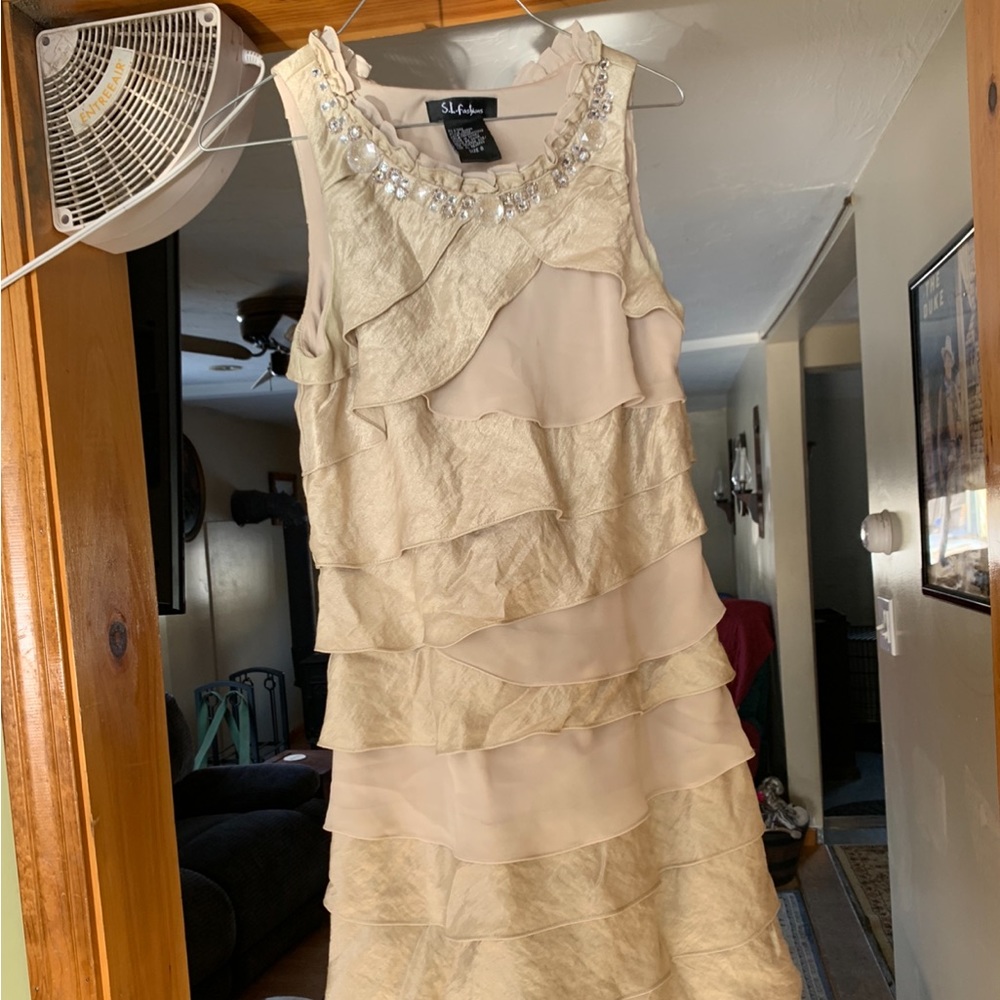 S L fashions dress purchased at target size 8.
